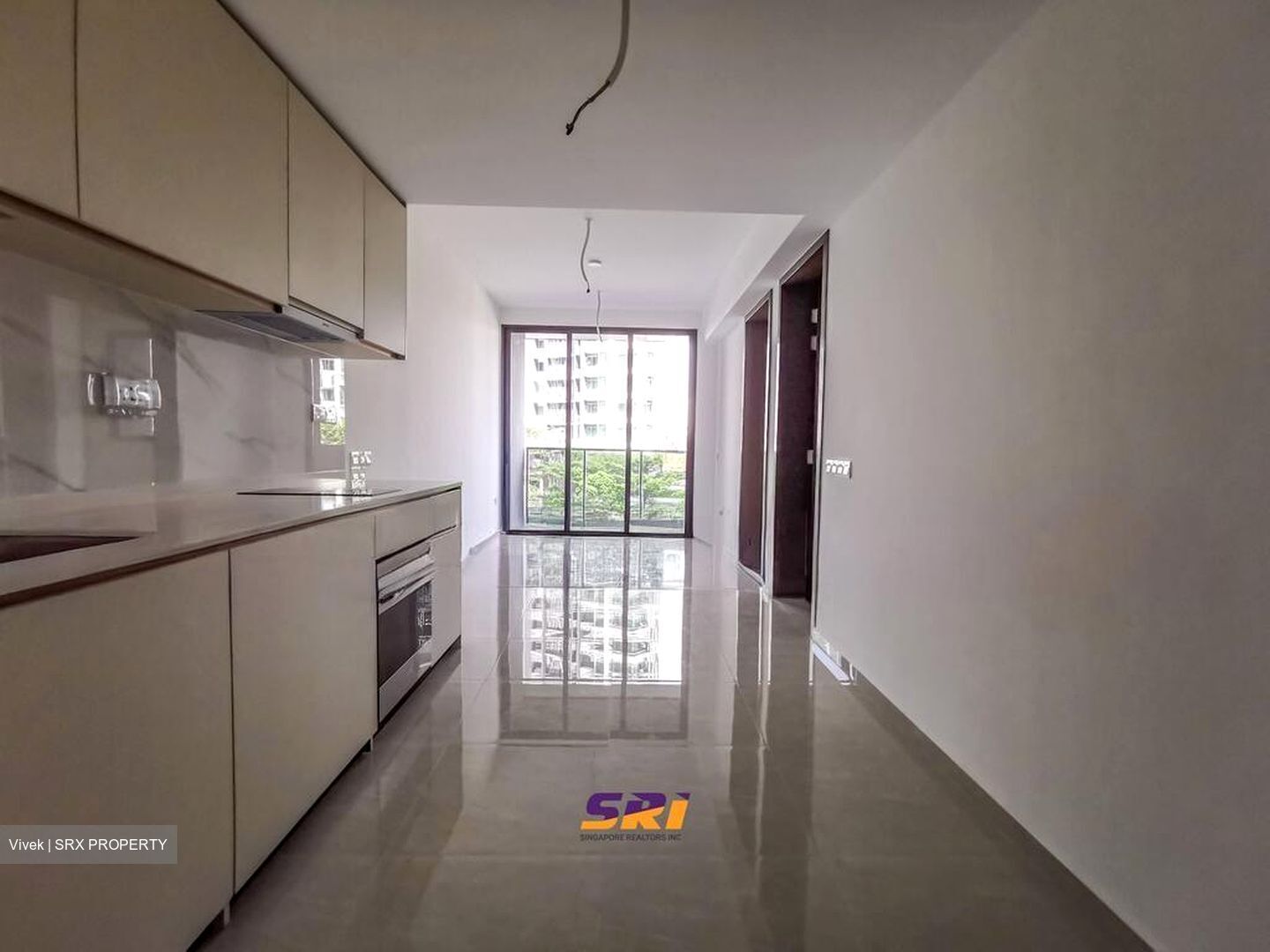 Kopar At Newton (D9), Apartment #502531351